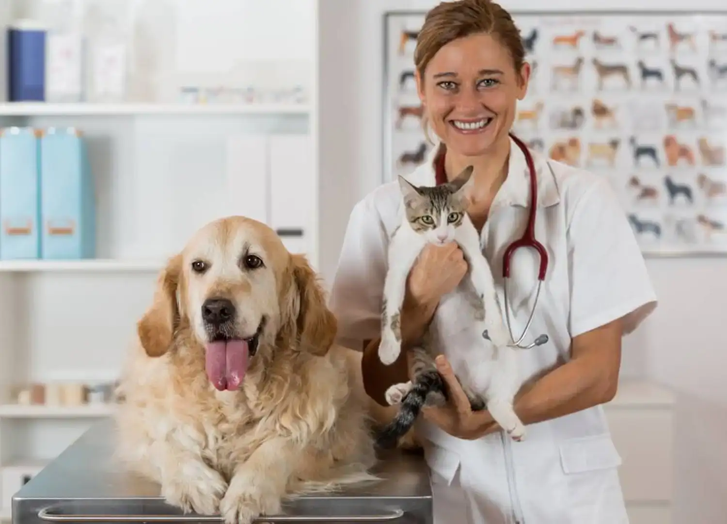pets-and-pet-care-55